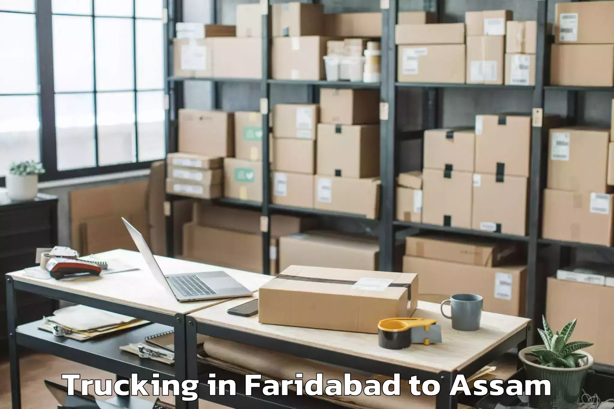 Leading Faridabad to Palasbari Trucking Provider